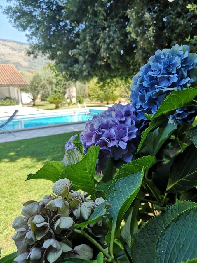 Villetta Blue Garden Sonnino Eksteriør billede