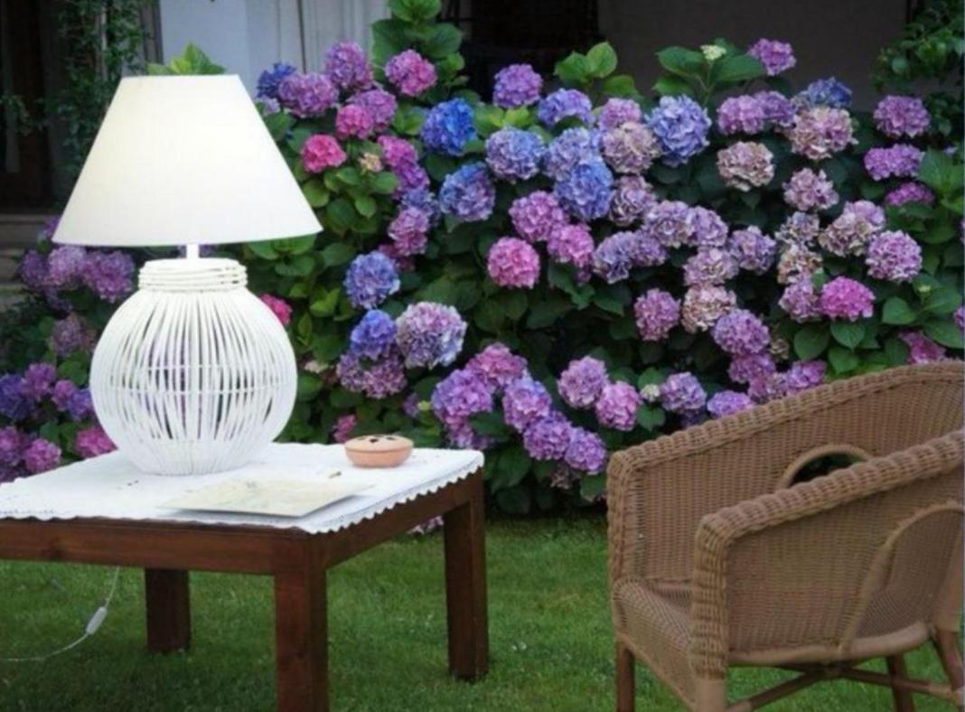 Villetta Blue Garden Sonnino Eksteriør billede